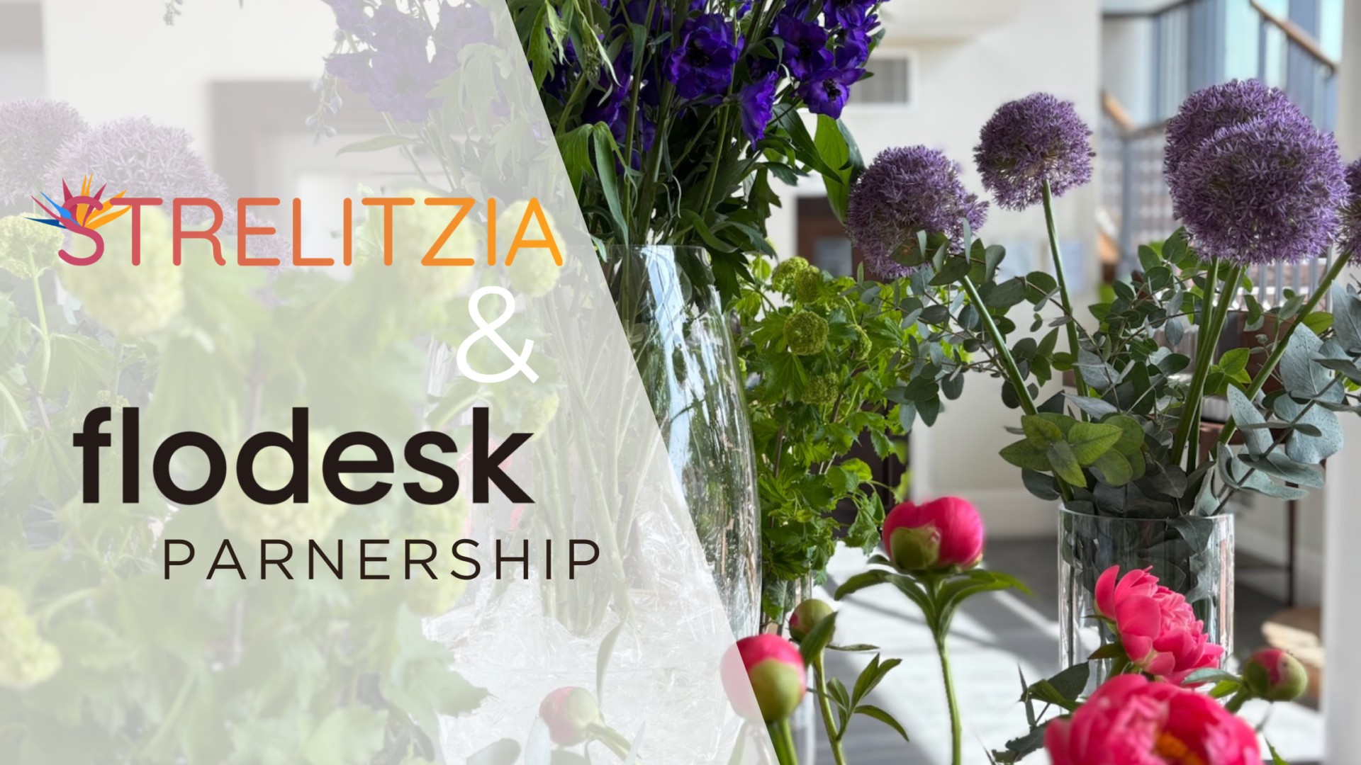 The Best Email Marketing Platform for Florists Flodesk & Strelitzia Partnership